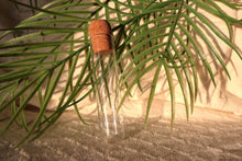 Load image into Gallery viewer, Glass Tea Infuser
